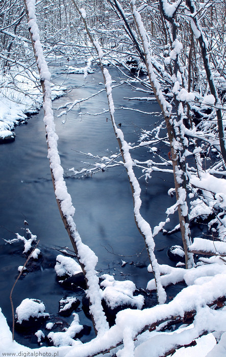 Winterlandschap, winter rivier