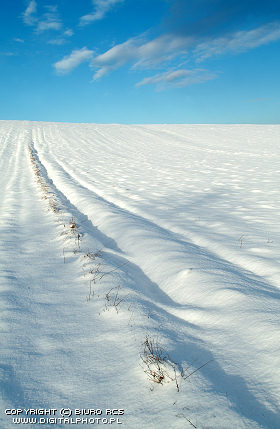Images d'hiver, paysages d'hiver