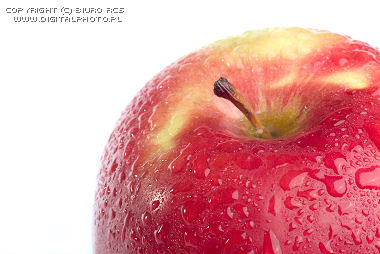 Retratos das frutas: maçã