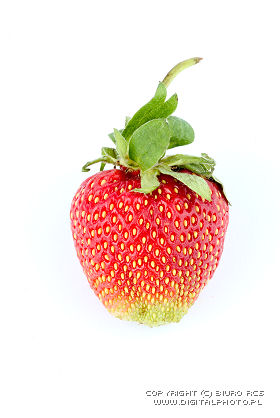 Jordbær, foto i jordbær