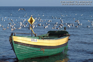 Fishboat, sea, birds