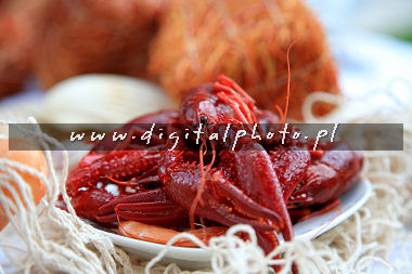 Seafood images