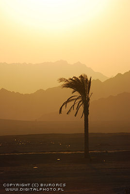 Sinai Fjellene, Egypt, Sommer