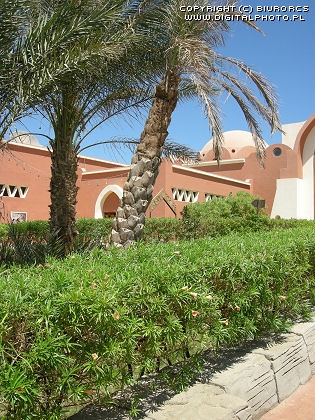 Hotell i den Sharm el sheikhen