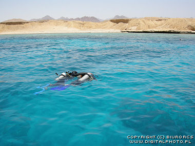 Dyka i Egypten, Dykning