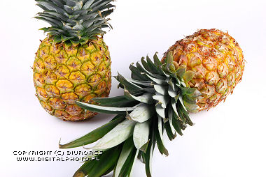 Zdjęcia ananasów
