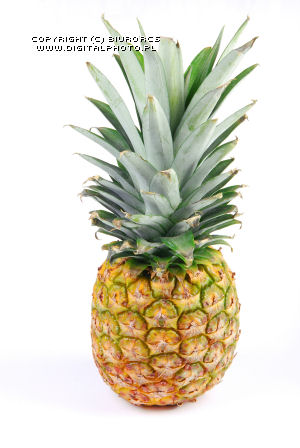 Photo of pineapples