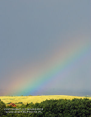 Rainbow images