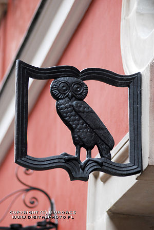 Owl, sign-board