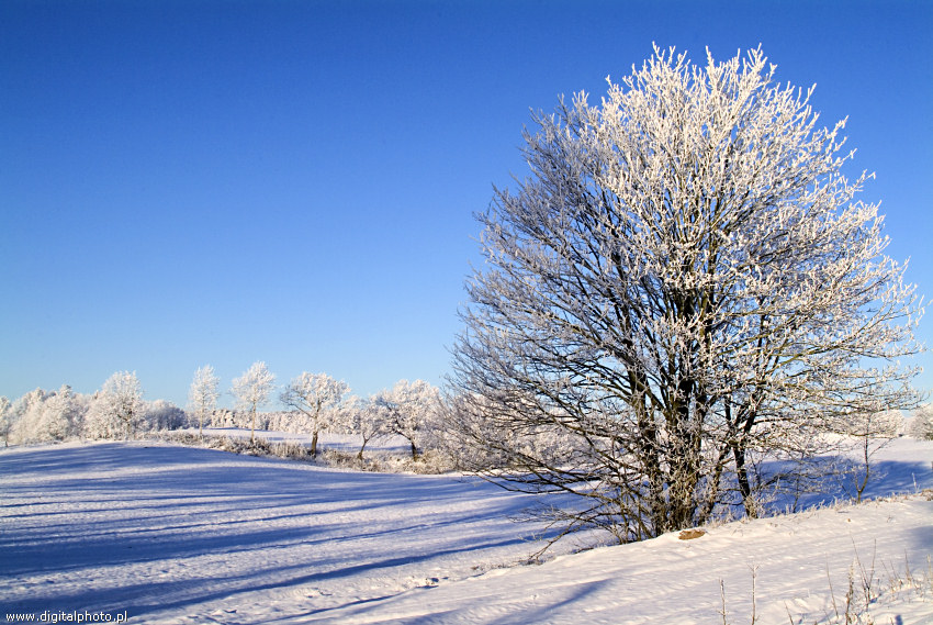 Inverno, paisagens do inverno