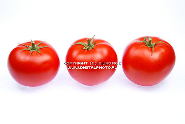 Pomidory, zdjęcia pomidorów