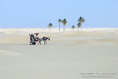 Podróż przez pustynię, Sahara
