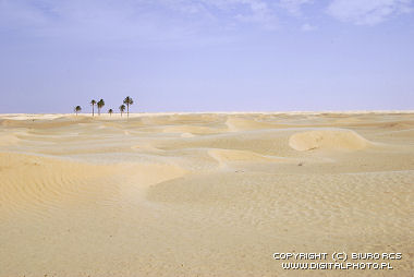 Sahara öknen, öknen Sahara