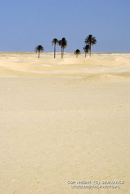 Désert du Sahara Images, photos Sahara
