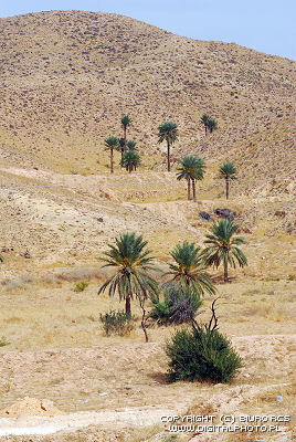 Afrikansk landskap, Matmata, Tunisia