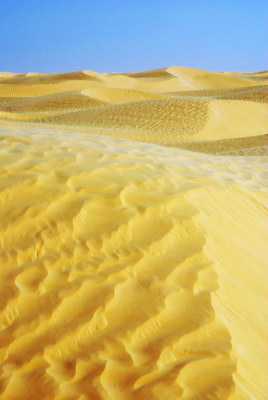 Saharaöknen, öken foto