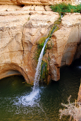 Oaza Tamerza, oazy w Tunezji
