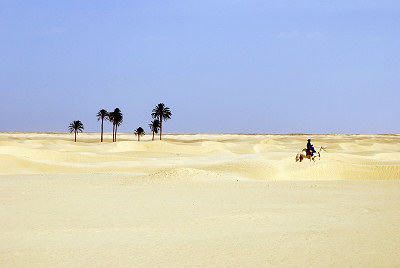 Öken, sandöknar, Sahara