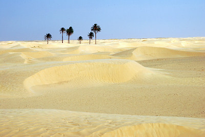 Zdjęcia z Sahary, krajobraz pustynny