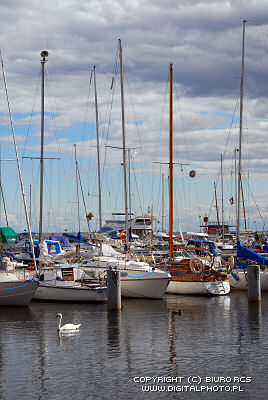 Port de yacht, Gdynia, Pologne