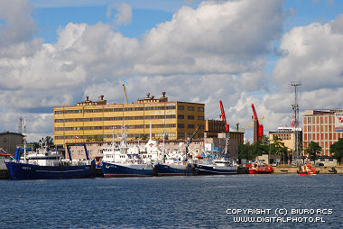 Port rybacki, Gdynia