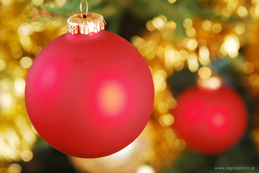 Decorações de Natal, Árvore de Natal, Noite de Natal
