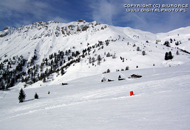 Skidbilder, Skidsport, Alperna
