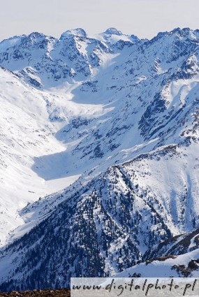 Dolina w Alpach