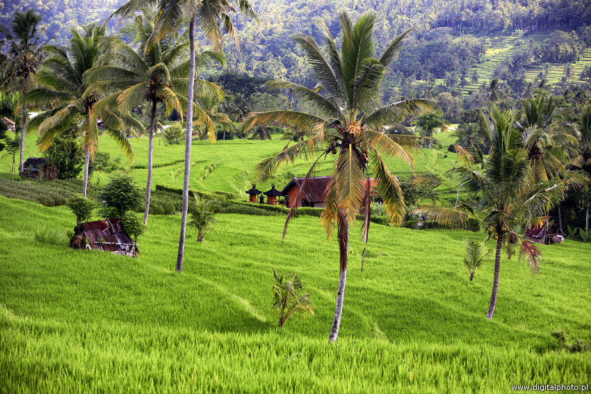 Landscapes of Indonesia, Indonesia pictures