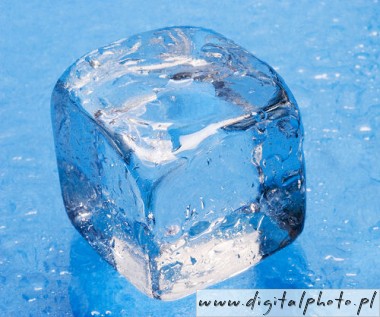 Ice Cubes picture