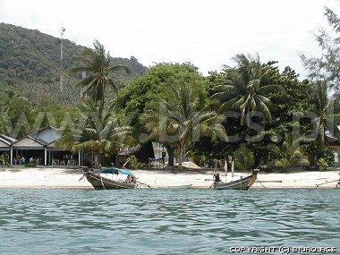 Plaża, palmy, łodzie - Podróże - Tajlandia 