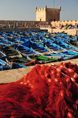 Resa till Marocko, Essaouira hamn, fiskehamnen