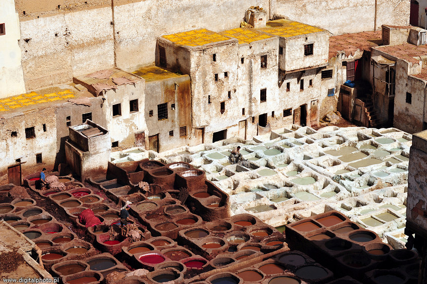Fez w Maroko, produkcja skór