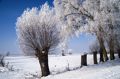 Żuławy, zimowe krajobrazy 