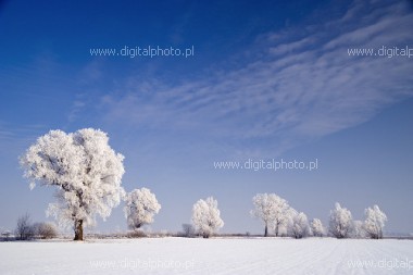 Winter in het land, winter panorama, sneeuwlandschap