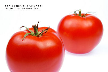 Tomates , l'action photo