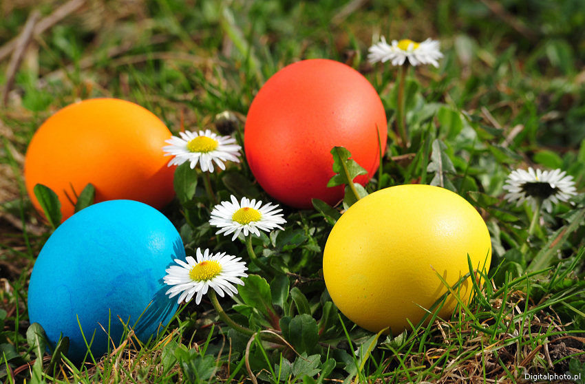 Ovos de Páscoa, ovos coloridos