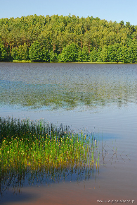 Lake picture, lakeside