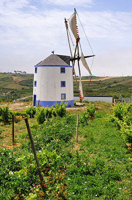 Moinho de vento, tipo mediterrânico, moinho velho