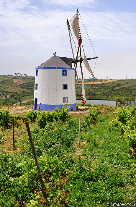 Windmill in the field, an old windmill