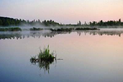 Morgentåke over en innsjø, landskapsfotografering