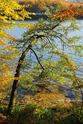 Nature d'Automne, couleurs d'automne