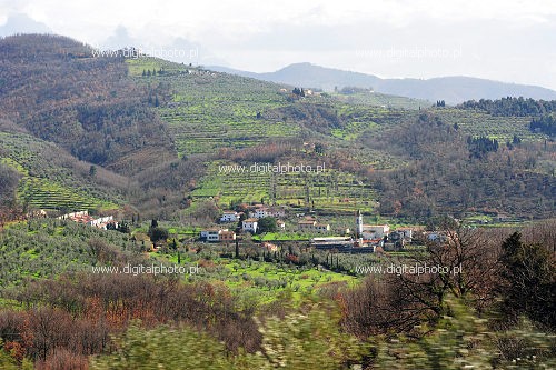 Italian landscapes, Tuscany countryside