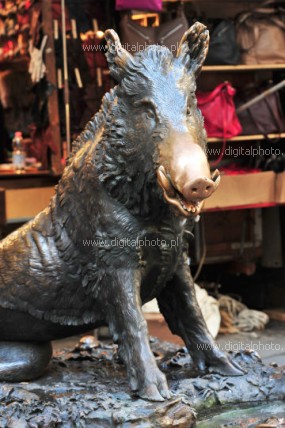 Wild boar - Porcellino, the fountain in Florence