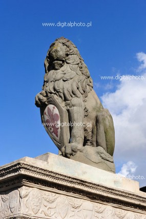 Marzocco - Florentinischen Löwen - dem Wahrzeichen von Florenz