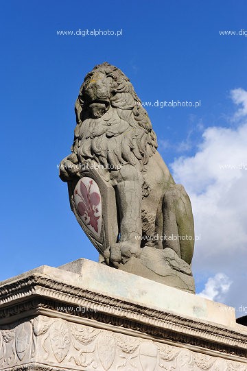 Florencki lew - symbol Florencji