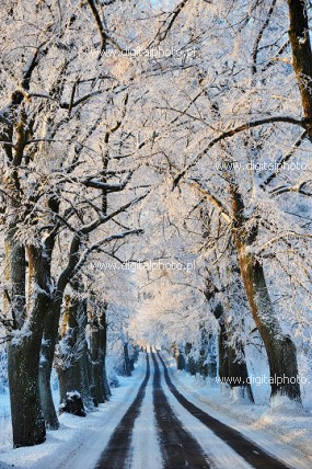 Vintervej billeder