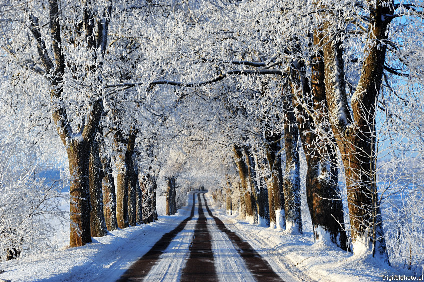 Droga zimą, krajobraz
