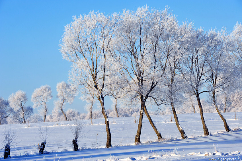 Winter wonderland, winter scenes
