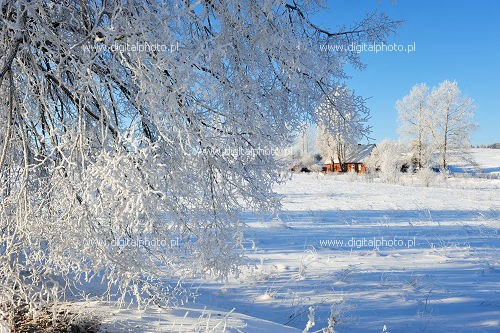 Zdjęcia krajobrazów zimowych
